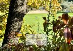 Spectacular villa in Golf Club in Garlenda with Swimmingpool