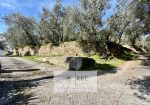 Semi-detached house with terrace overlooking the valley in Aquila d’Arroscia