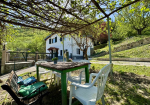 Fully renovated detached house with swimming pool, 9,000 sqm of garden