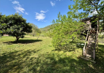 Fully renovated detached house with swimming pool, 9,000 sqm of garden