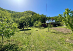 Fully renovated detached house with swimming pool, 9,000 sqm of garden
