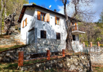 Detached villa with surrounding land.