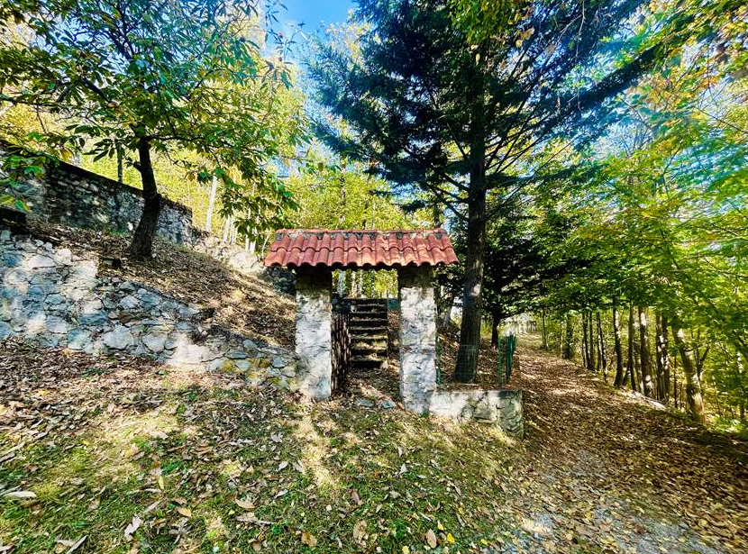 Detached villa with surrounding land.