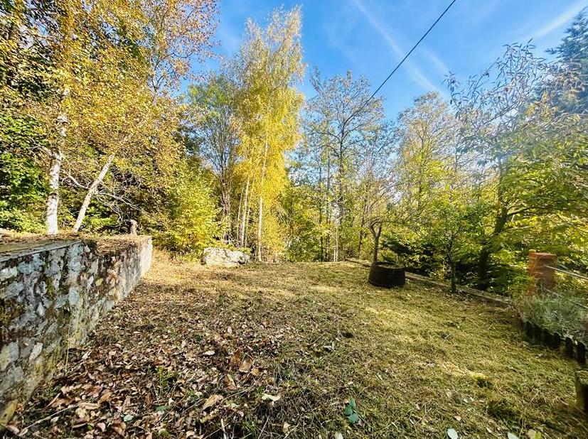 Detached villa with surrounding land.