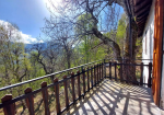 Detached villa with surrounding land.