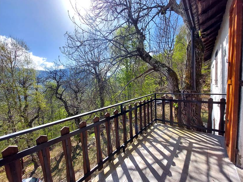 Detached villa with surrounding land.
