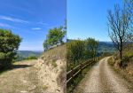 Panoramic Villa in Monferrato with Over 2 Hectares of Private Land – Rare Opportunity to Complete and Customize