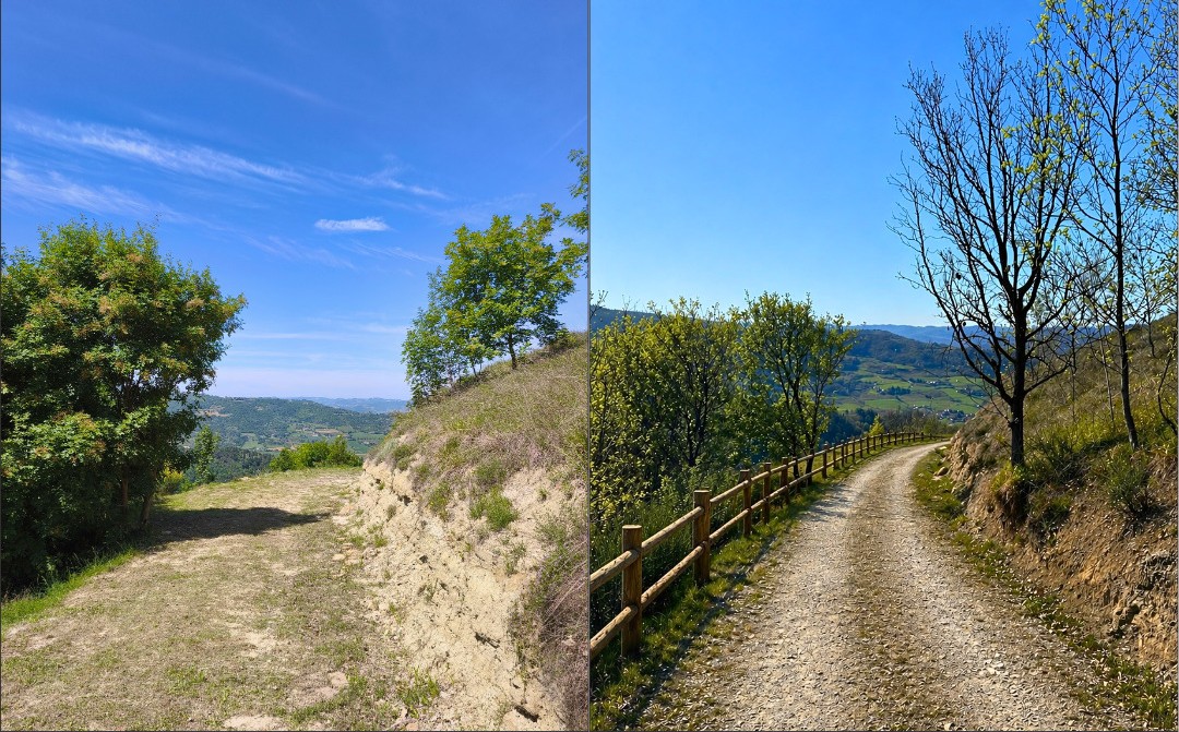 Panoramic Villa in Monferrato with Over 2 Hectares of Private Land – Rare Opportunity to Complete and Customize