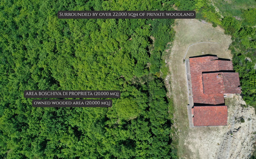 Panoramic Villa in Monferrato with Over 2 Hectares of Private Land – Rare Opportunity to Complete and Customize