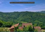 Panoramic Villa in Monferrato with Over 2 Hectares of Private Land – Rare Opportunity to Complete and Customize