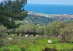 For Sale – Skyline 360 Estate – A Breathtaking Architect-Designed Retreat in Termini Imerese, Sicily