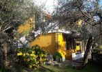 Apartment  with seaview with garden and terrace for sale in Rapallo in the Liguria region, Italy
