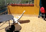 Apartment  with seaview with garden and terrace for sale in Rapallo in the Liguria region, Italy