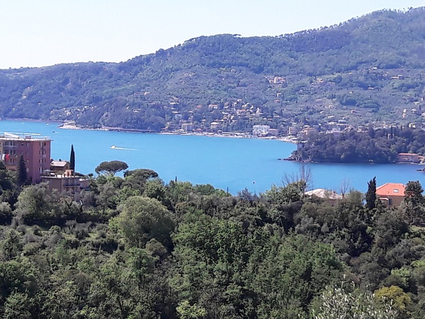 Apartment  with seaview with garden and terrace for sale in Rapallo in the Liguria region, Italy