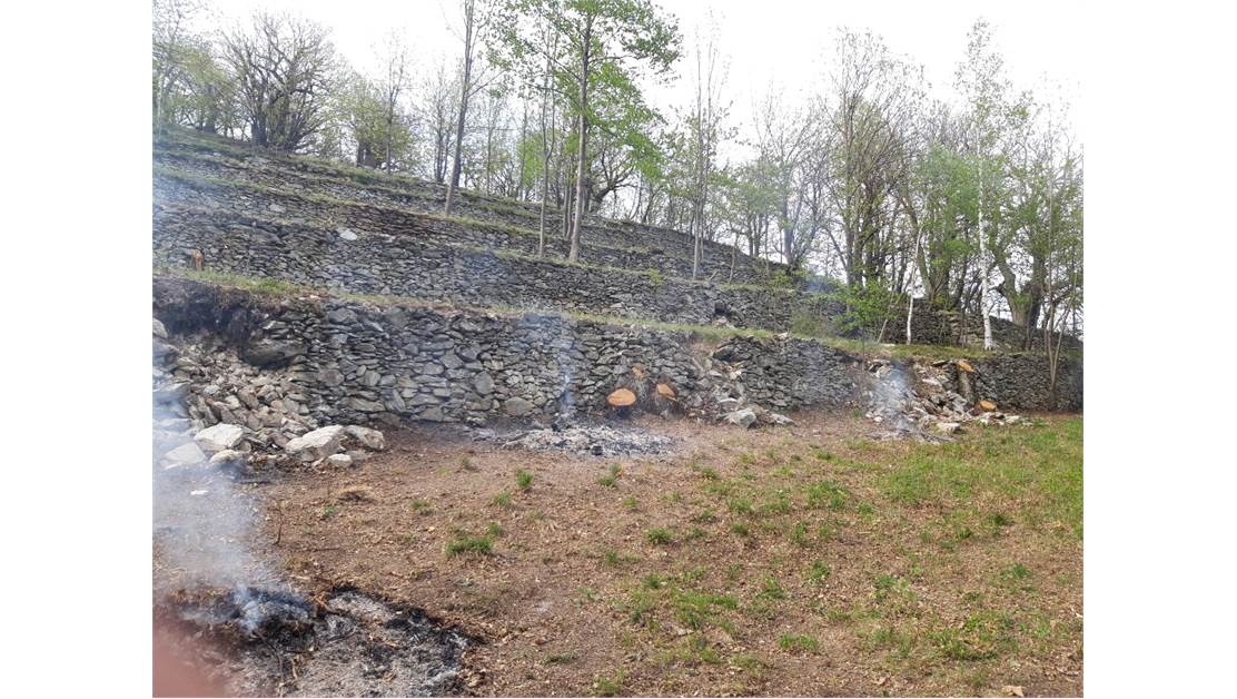 Three rustic stone house sourraunding by 7500 sqm of private land