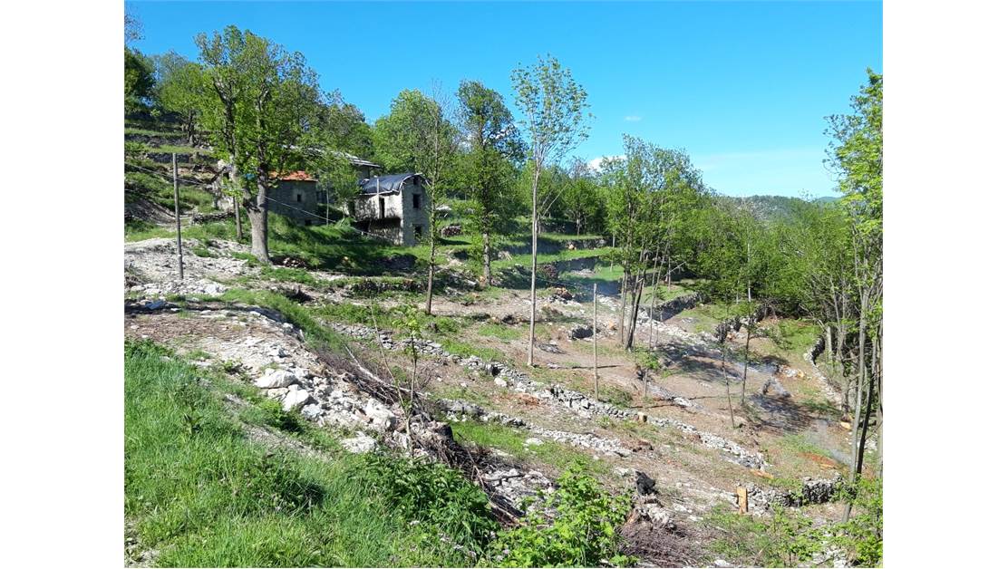 Three rustic stone house sourraunding by 7500 sqm of private land