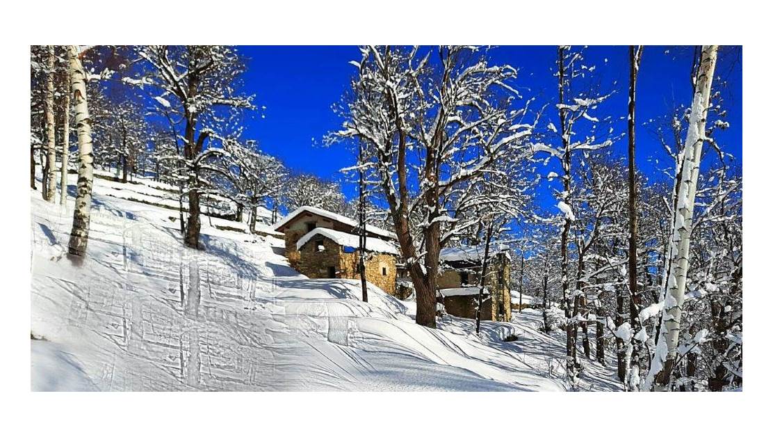 Three rustic stone house sourraunding by 7500 sqm of private land
