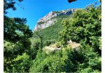 Three rustic stone house sourraunding by 7500 sqm of private land