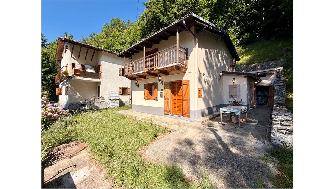 Detached house surrounded by greenery.