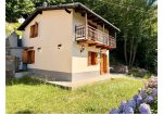 Detached house surrounded by greenery.