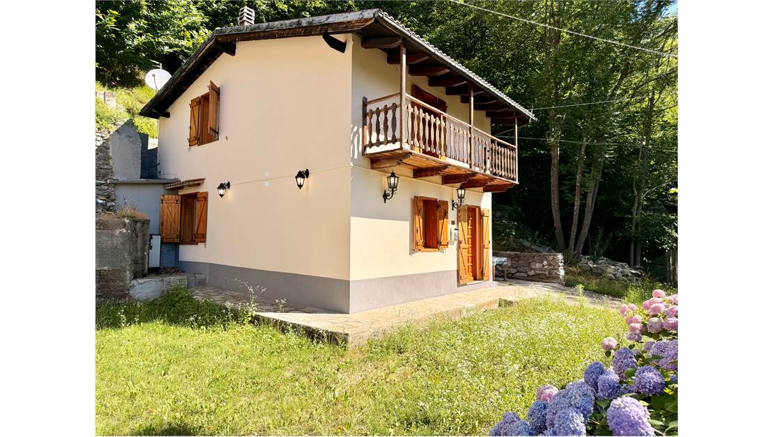 Detached house surrounded by greenery.