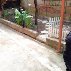 GIARDINO-2-1