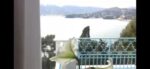 Ref. 5777 – Zoagli – Detached villa on the most pristine cliff of the Tigullio Gulf, with private access to the sea – One of a kind and overlooking th