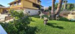 Villa with Pool, Guest House and Apartments, Augusta