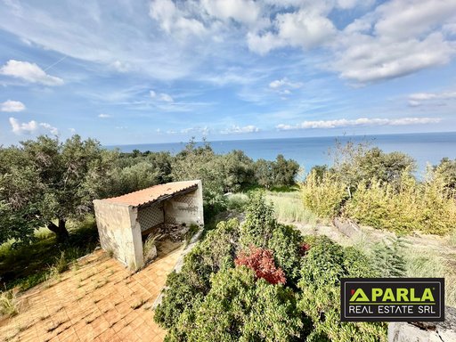 Sea-View Estate with Olive Grove, Messina