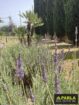 Villa in Ribera – EUR 750,000