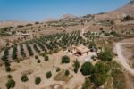 Sea-view villa with of land and olive grove for sale in Licata (Agrigento)
