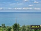 Sea-View Estate with Olive Grove, Messina