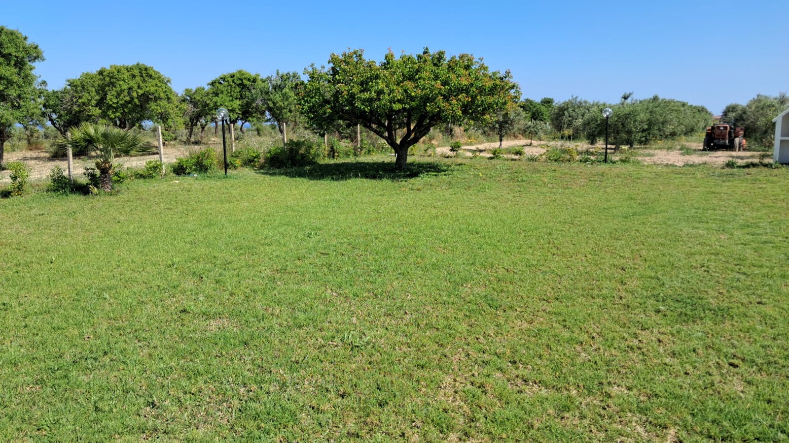 Hospitality Property with Pool and Olive Grove, Marzamemi