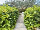 Villa in Castelluzzo – EUR 600,000