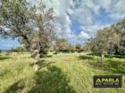 Sea-View Estate with Olive Grove, Messina