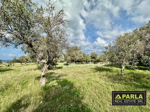 Sea-View Estate with Olive Grove, Messina