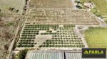 Farm Estate in Canicattì – EUR 380,000