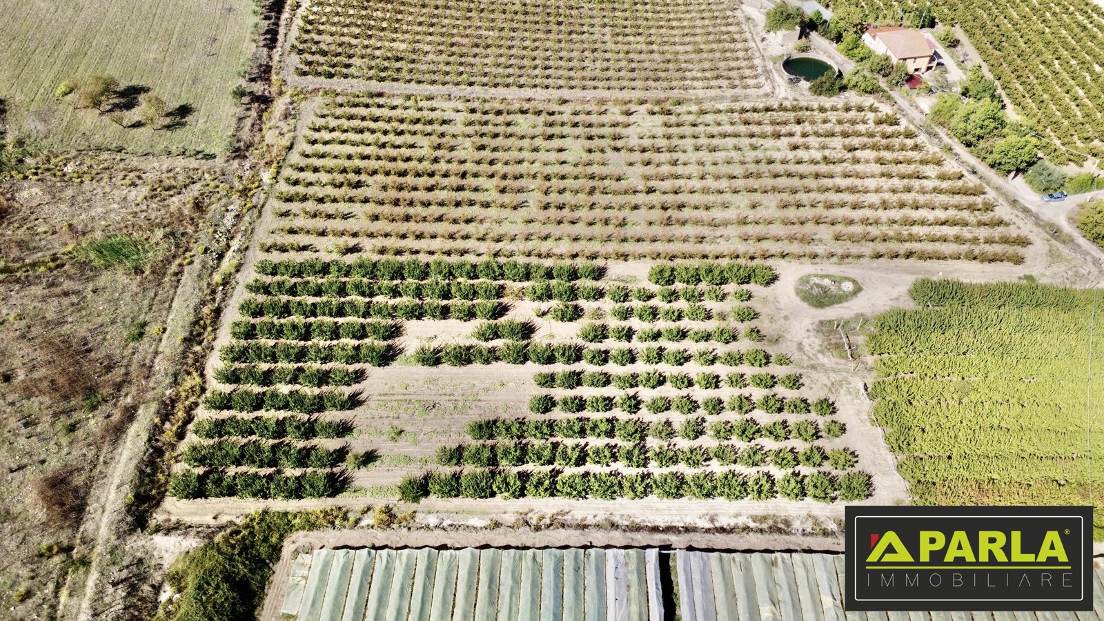 Farm Estate in Canicattì – EUR 380,000