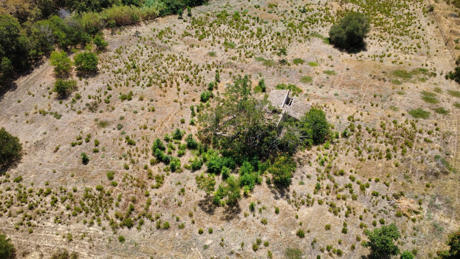 Farm Estate in Naro – EUR 185,000