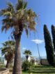 Villa in Ribera – EUR 750,000
