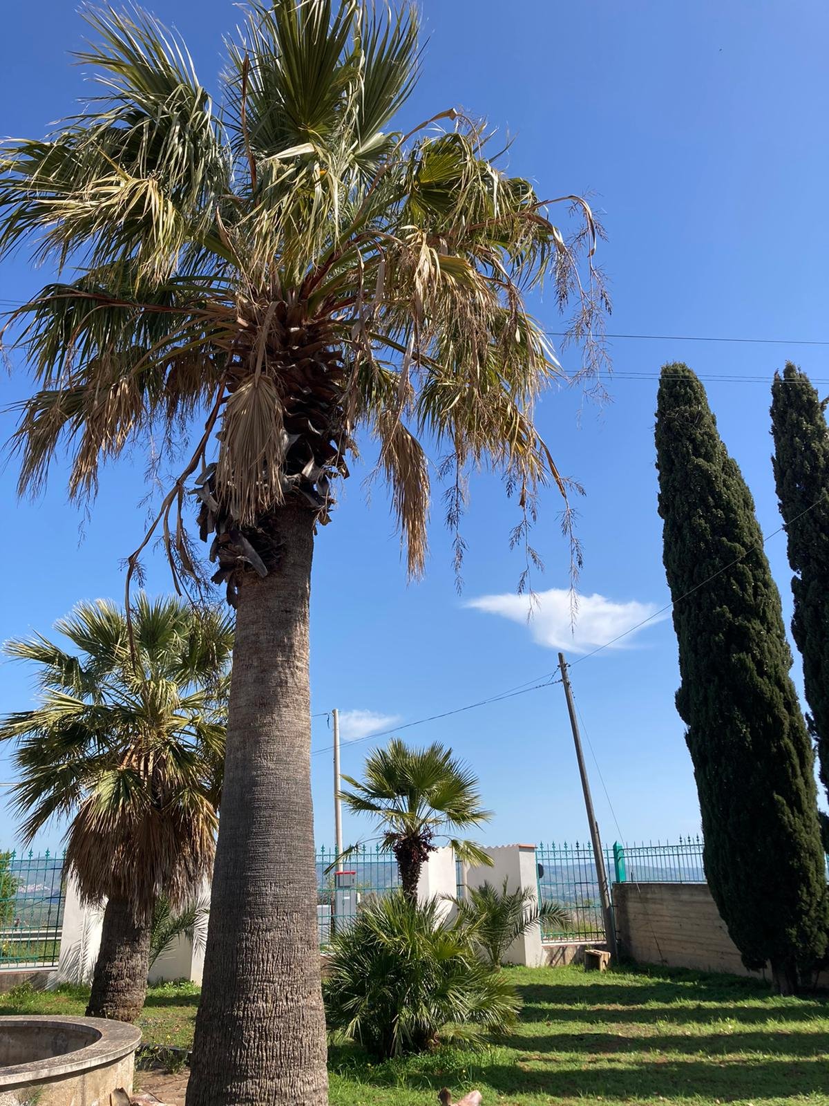 Villa in Ribera – EUR 750,000