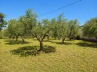 Olive Mill in Caltanissetta – EUR 600,000