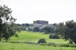 Historic Sicilian Estate for Sale Near Modica – Villa, Farm Buildings, and 45 Hectares