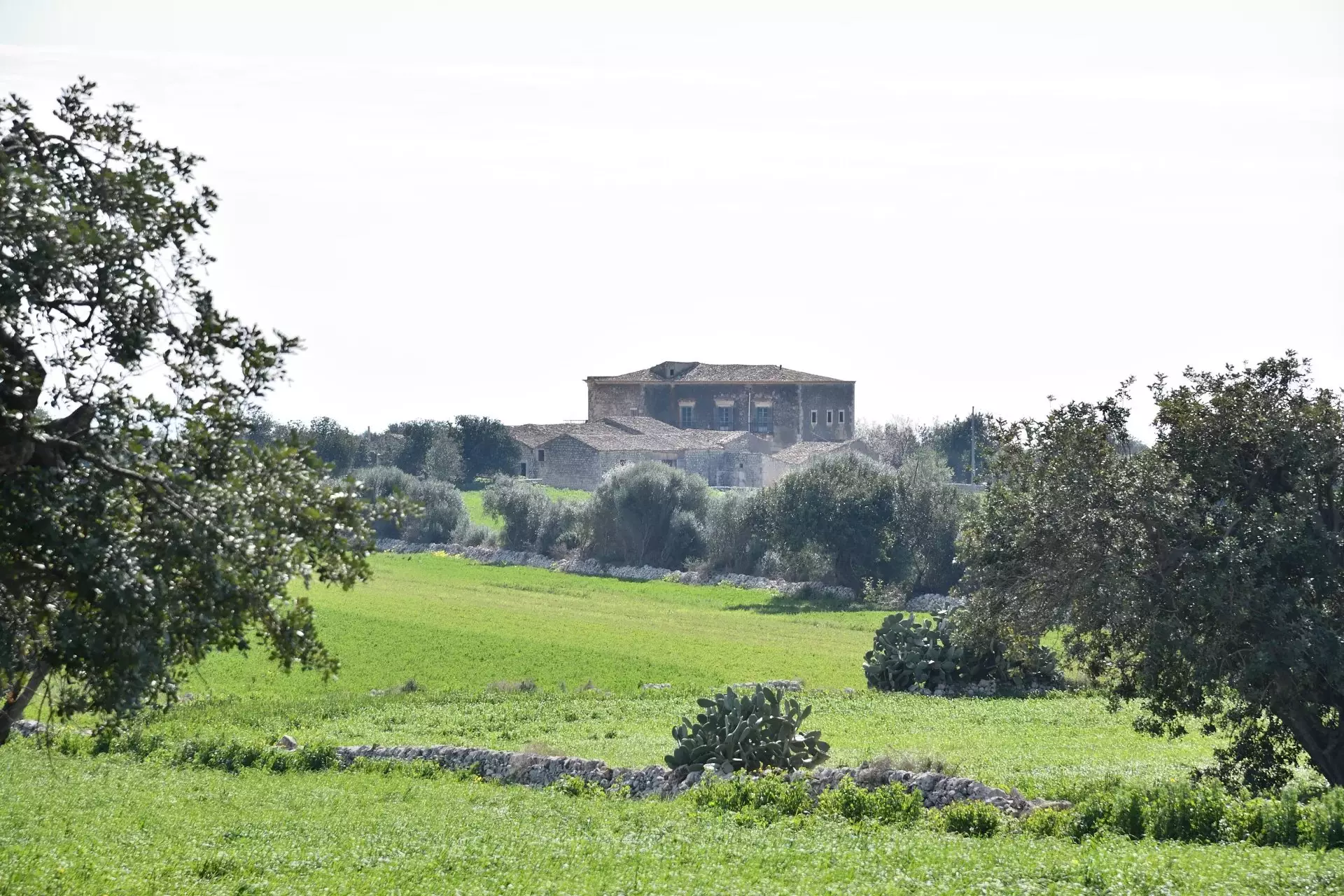 Historic Sicilian Estate for Sale Near Modica – Villa, Farm Buildings, and 45 Hectares