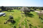 Historic Sicilian Estate for Sale Near Modica – Villa, Farm Buildings, and 45 Hectares