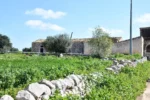 Historic Sicilian Estate for Sale Near Modica – Villa, Farm Buildings, and 45 Hectares