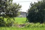 Historic Sicilian Estate for Sale Near Modica – Villa, Farm Buildings, and 45 Hectares