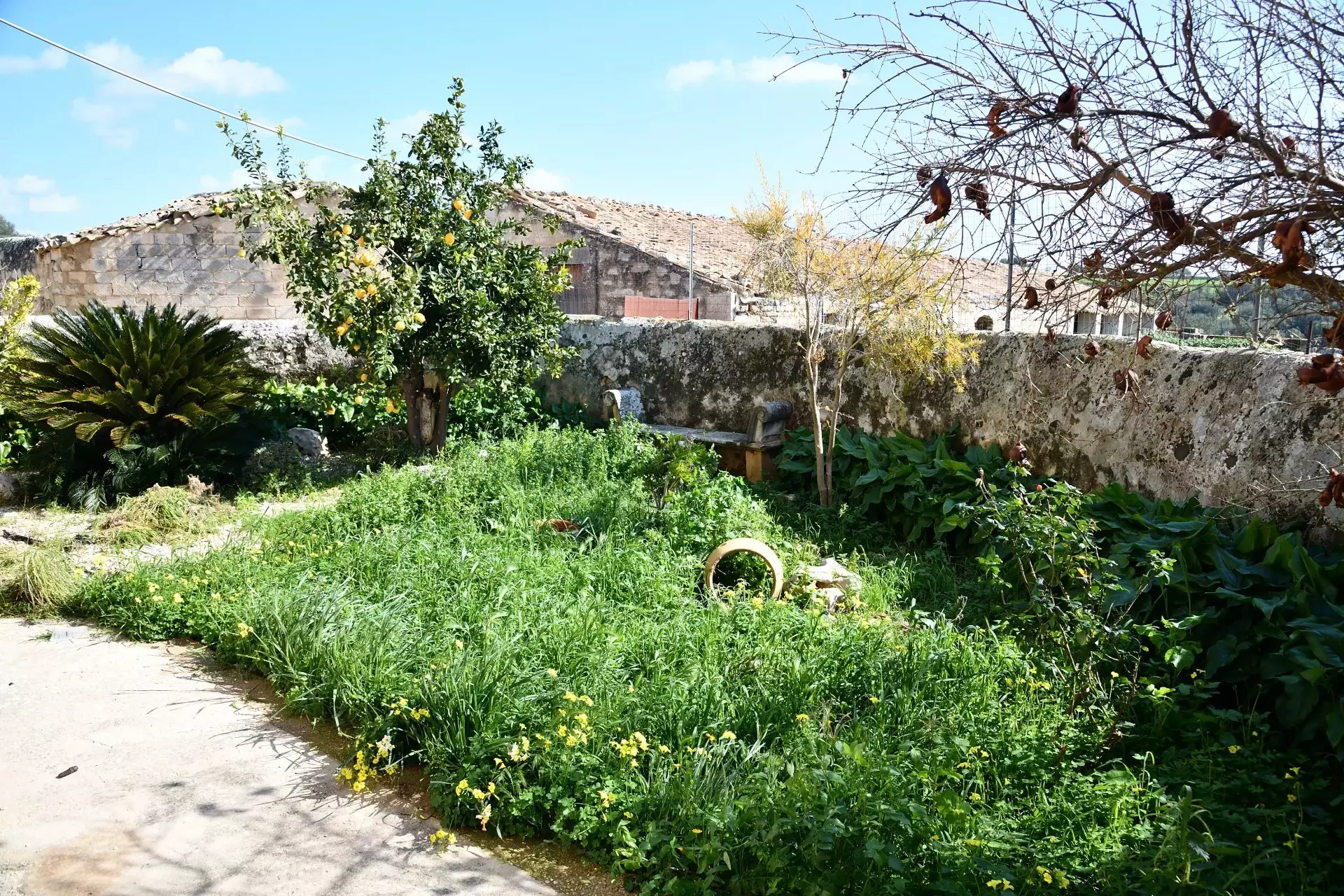 Historic Sicilian Estate for Sale Near Modica – Villa, Farm Buildings, and 45 Hectares