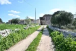 Historic Sicilian Estate for Sale Near Modica – Villa, Farm Buildings, and 45 Hectares